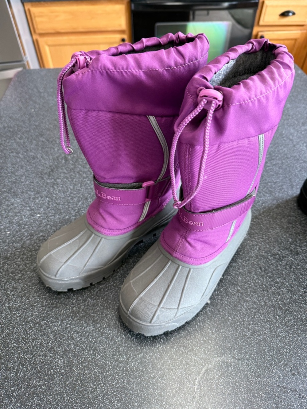 L.L. Bean Purple and Gray Insulated Winter Boots